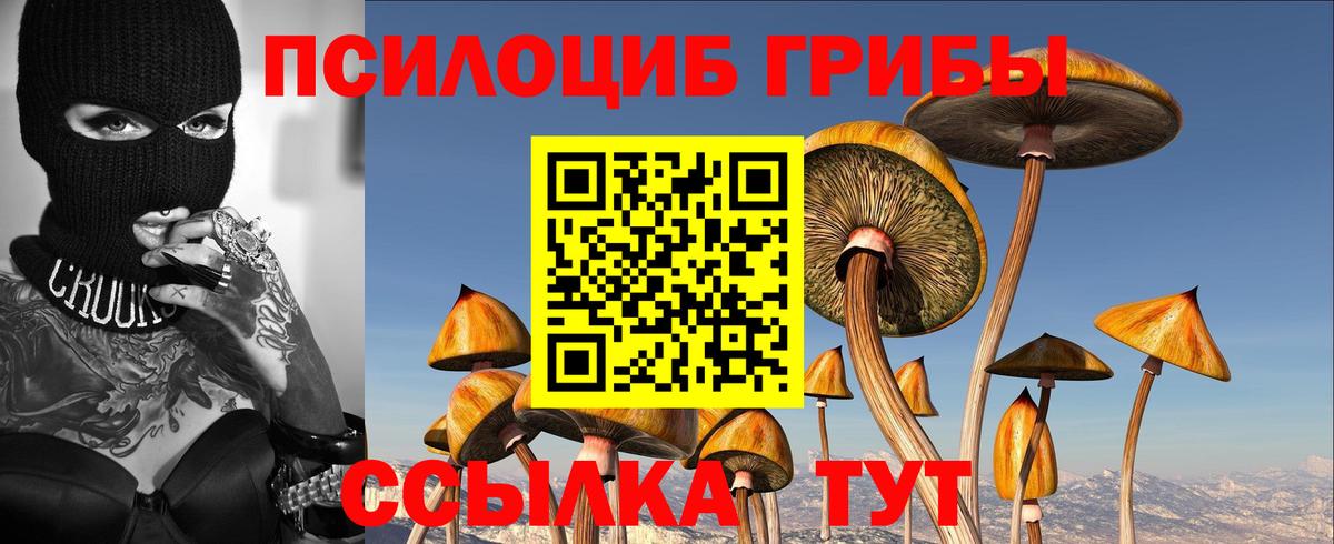 Псилоцибиновые грибы прущие грибы  дарнет шоп  Октябрьский  Вход с VPN 