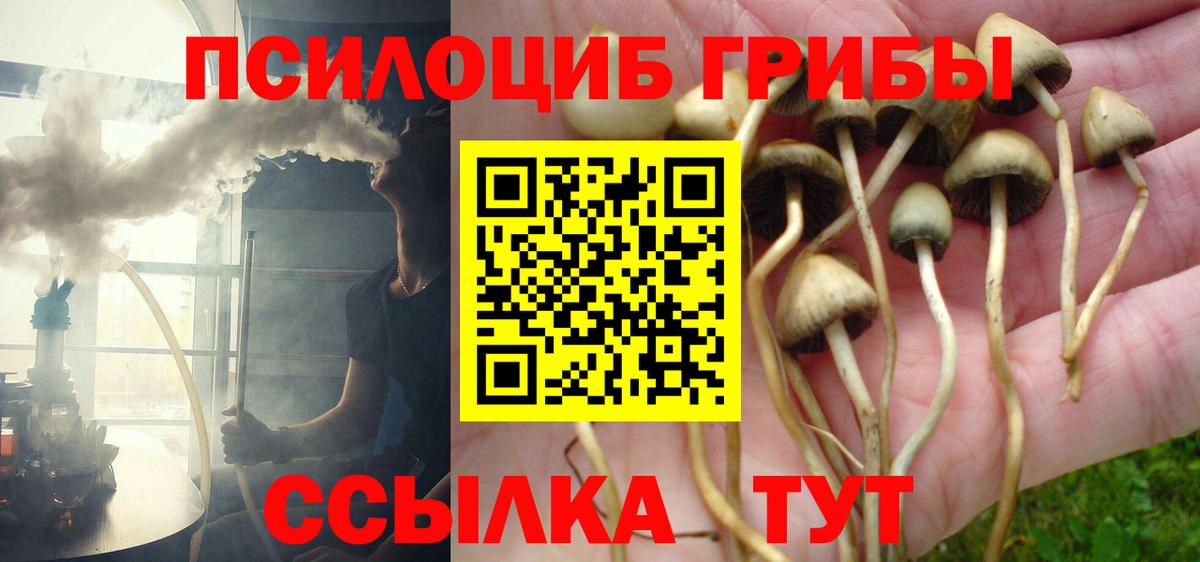 Псилоцибиновые грибы MAGIC MUSHROOMS Октябрьский